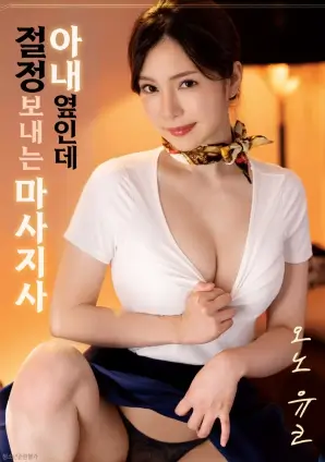白狐影视电影精选《银河维修工》海报